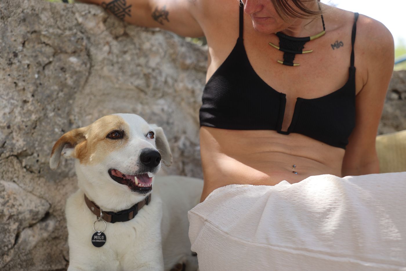 Two dogs wearing BAILU gear